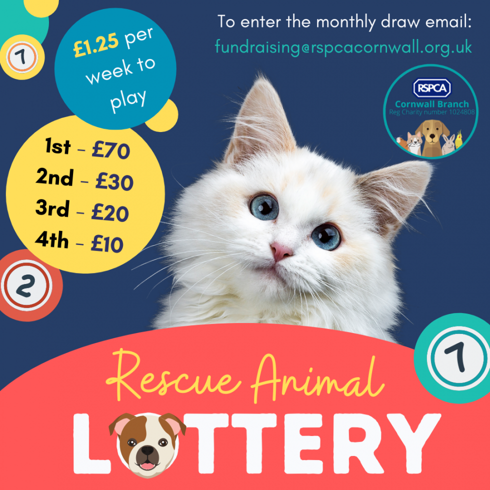 Rescue Animal Lottery RSPCA Cornwall Branch