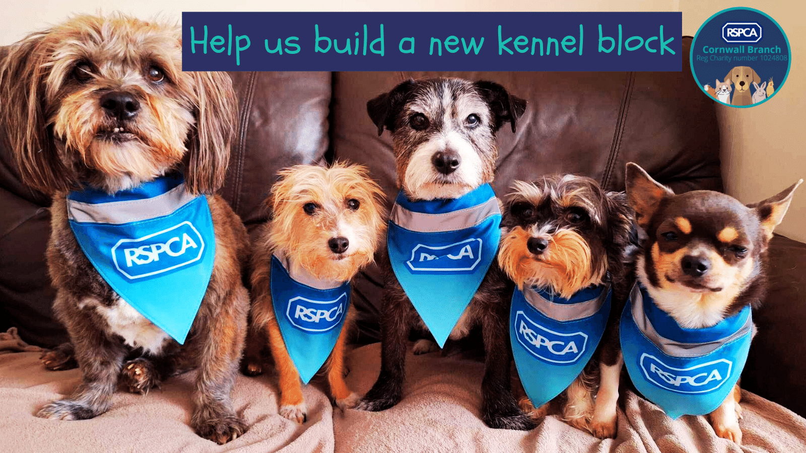 Help us build a new kennel block