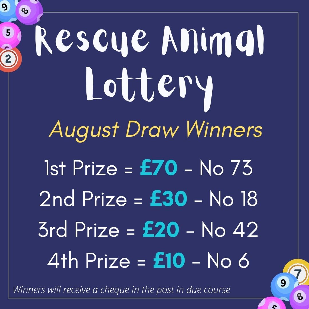 Monthly Lottery Winners notice (1)
