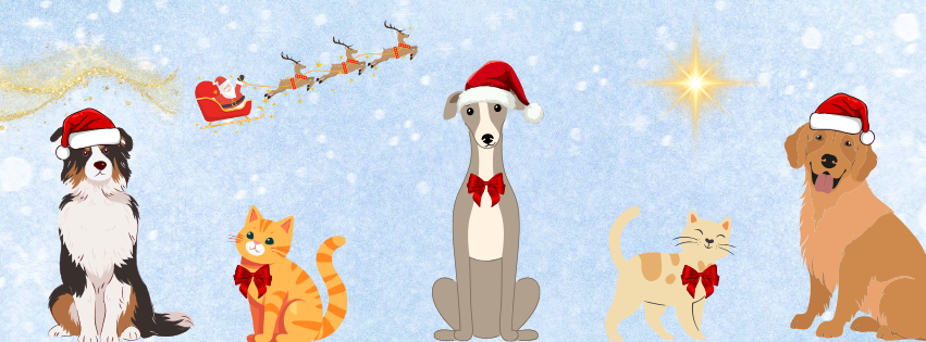 A happy dog wearing a festive Santa hat in the snow