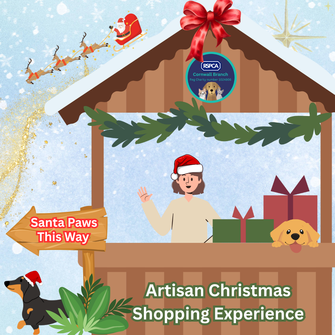 Red Beige Green Vintage Illustrated Christmas Market Instagram Post (Instagram Post) (1)