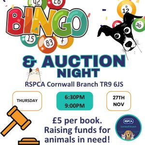 Bingo and auction Instagram