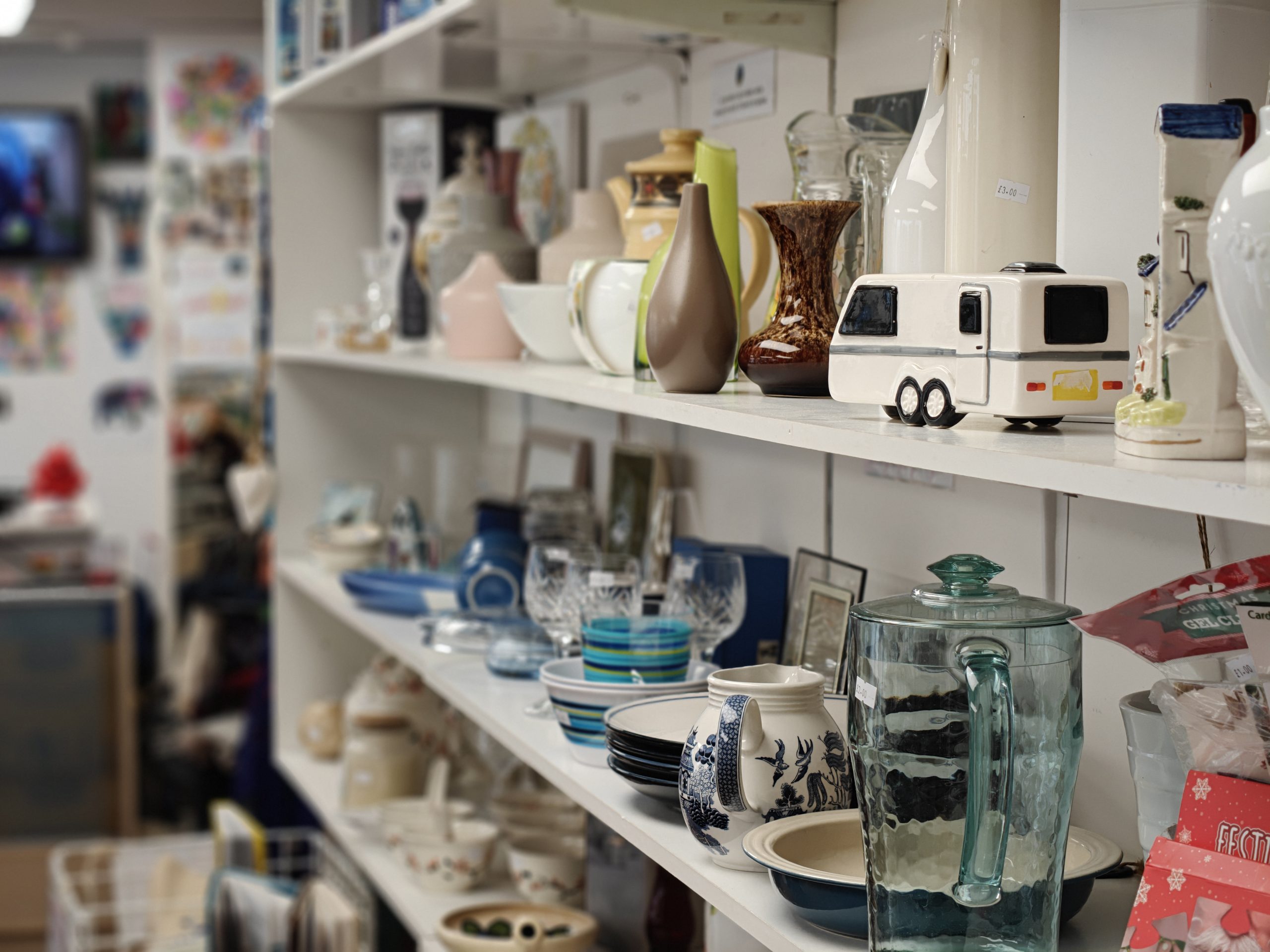 Happy golden retriever in a charity shop