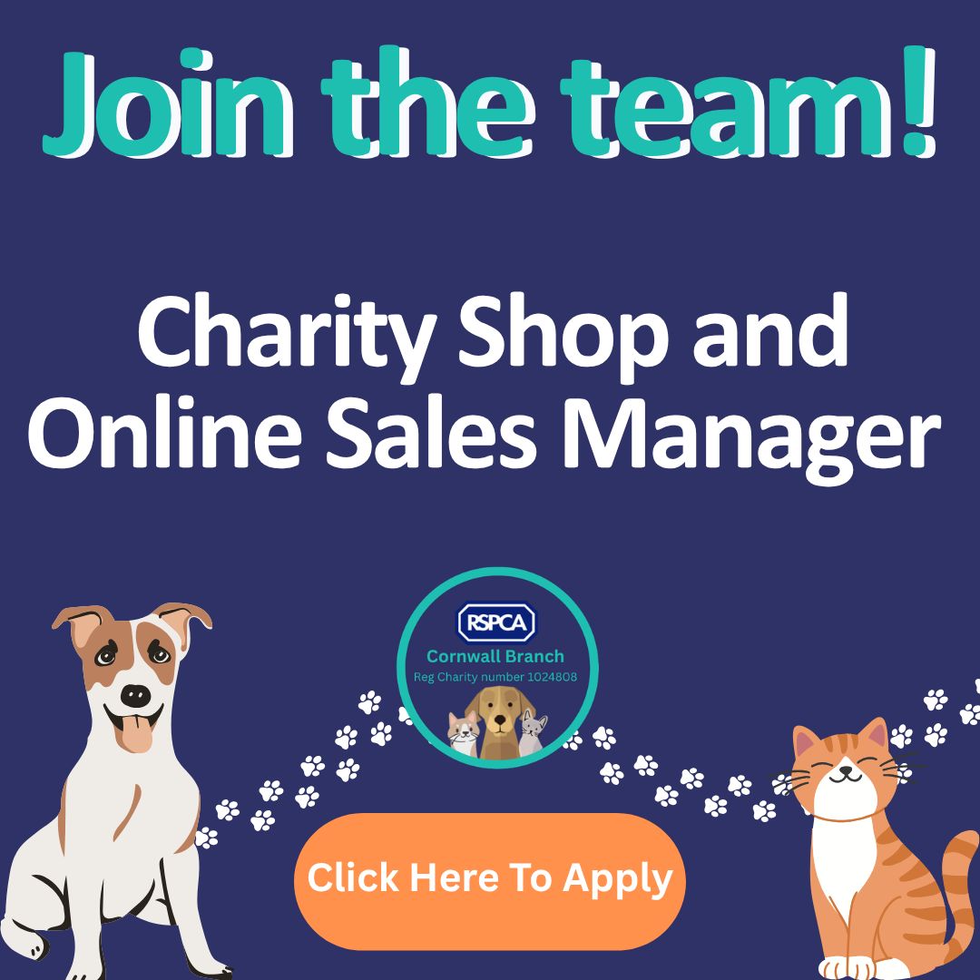 dog training lead