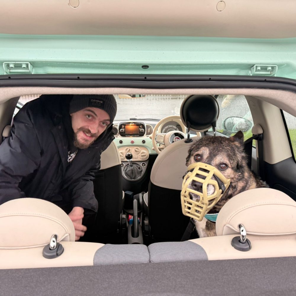 Lulu going to her forever home